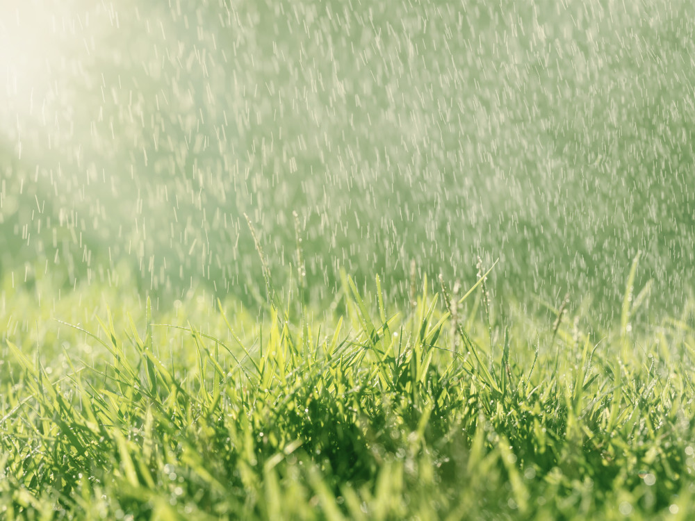 jak-spravne-sekat-travnik-po-privalovem-desti