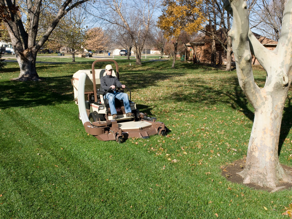 casto-kladene-otazky-pri-vyberu-profesionalni-sekacky-pro-vetsi-plochy