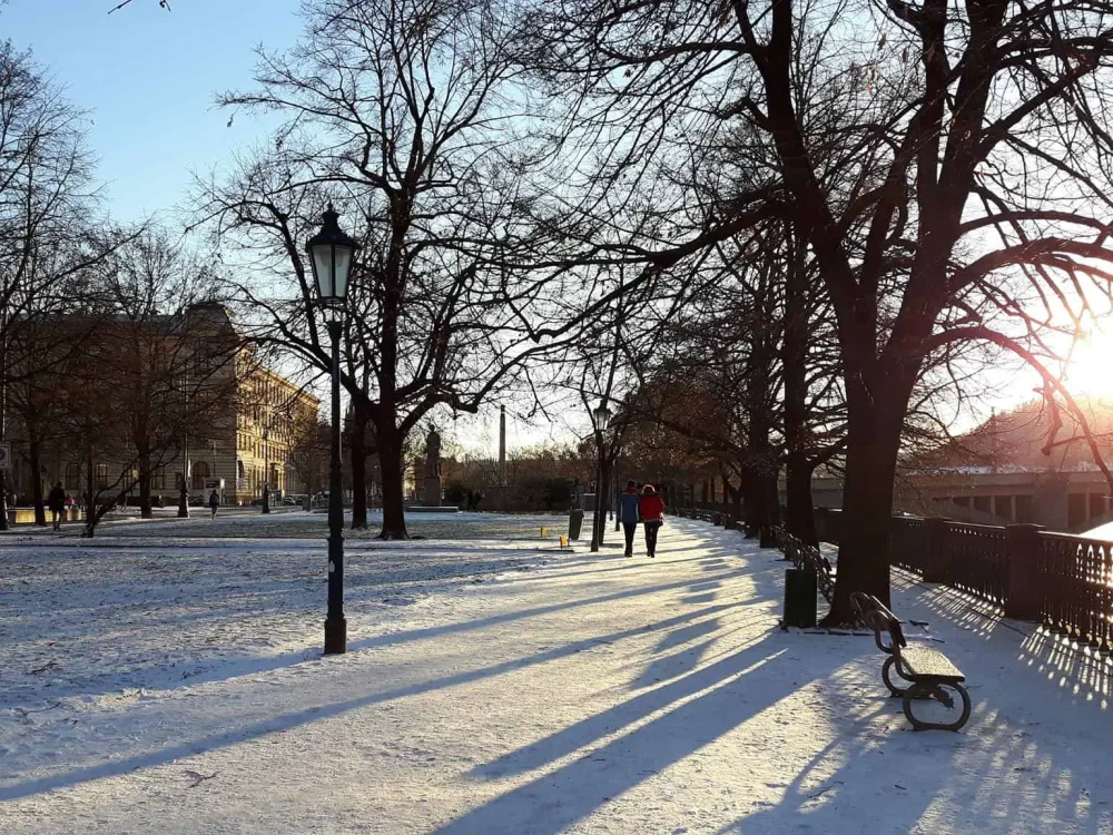 snehova-relovuce-na-dosah