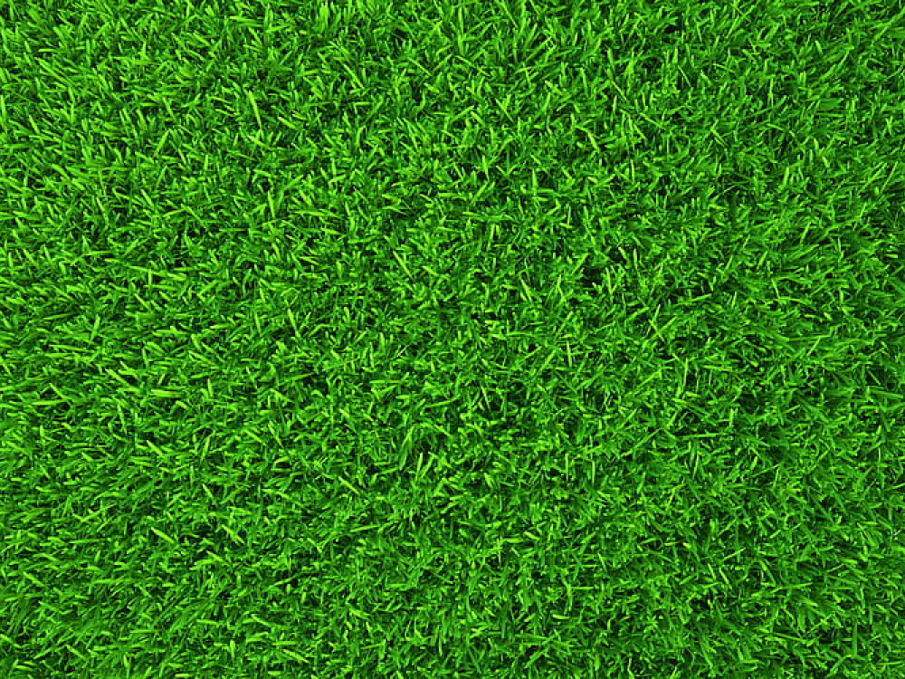 zpatky-do-minulosti-tomitruck-hvezdou-poradu-polopate