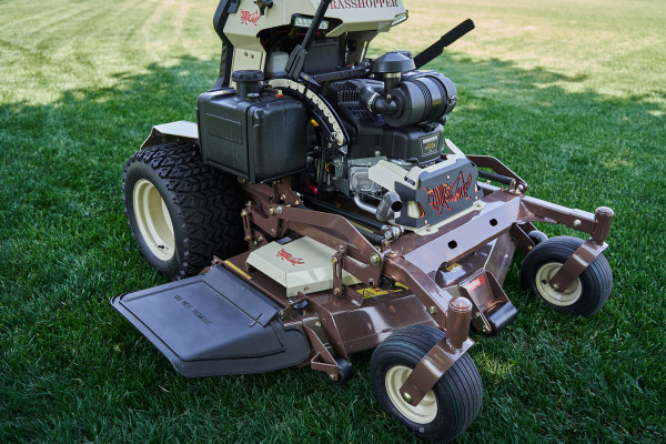 grasshopper_stand_on_so26