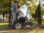 stand_on_grasshopper