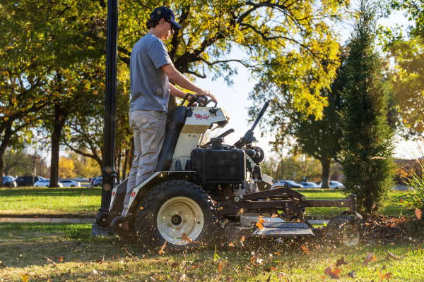 stand_on_grasshopper