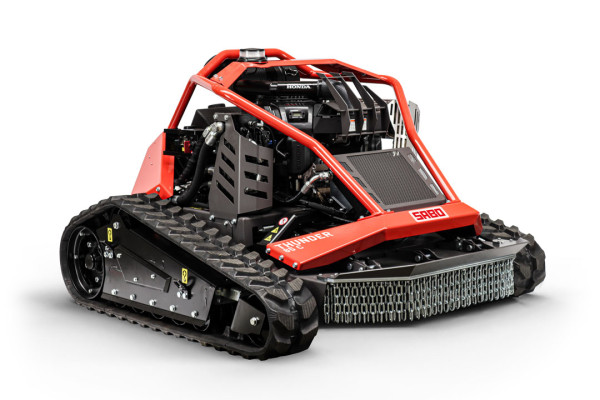 SA736024_THUNDER_85_C